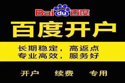 百度竞价赚钱秘诀：实战案例分析